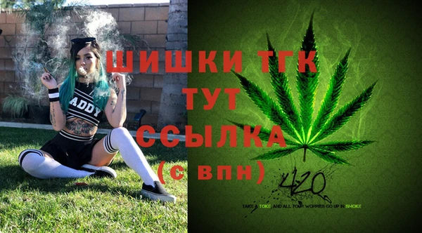 ECSTASY Магас